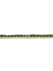 Haima Coral 30 фото 23 | FLOORDEALER